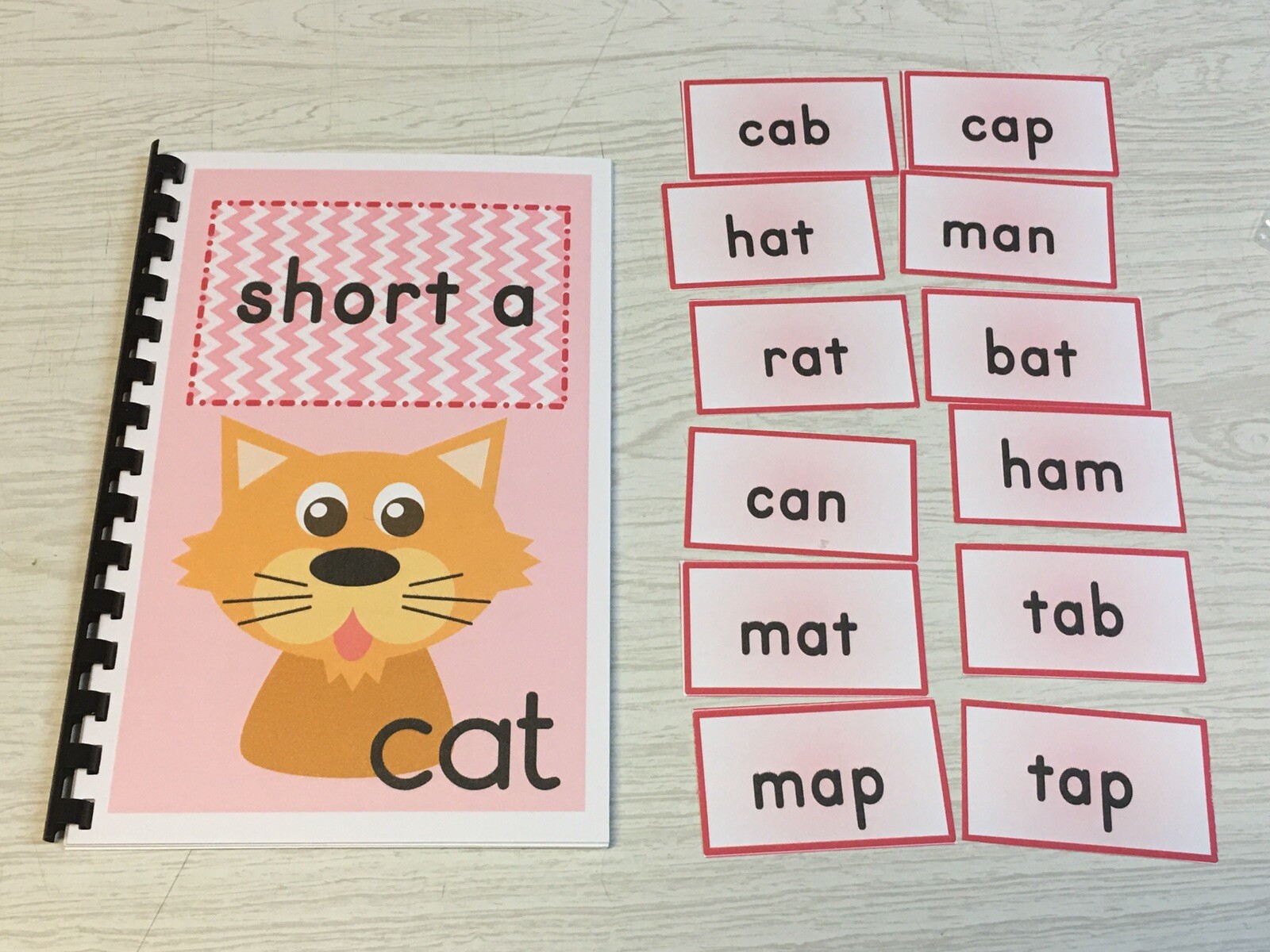 Interactive Learning Books for Children – Short “a” book – w/ 12 Laminated Cards