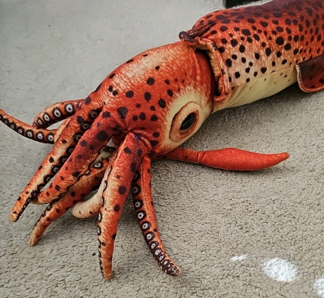 Giant Squid Realistic Cute Stuffed Animal Plush Toy Kids Gift 24″ Fiesta