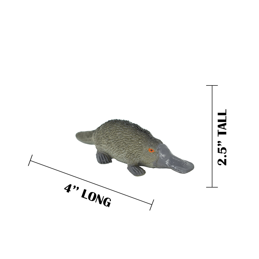 Platypus, Life Like Plastic Replica 4 inches long – F320 B111