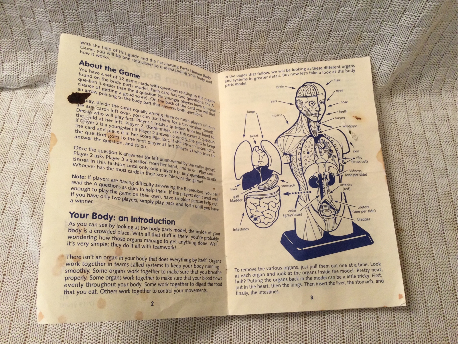 Vintage 1995 Fascinating Facts Of The Human Body Model Learning Quiz Card Game