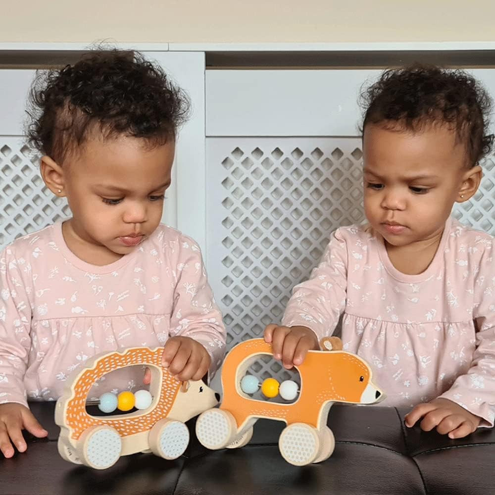 Bigjigs Toys Wooden Push Along Hedgehog – Sustainably-Made Animal Car Toy With W