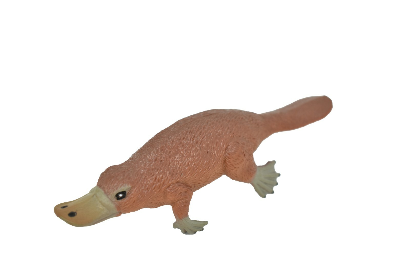 Platypus, ~ Very Nice Plastic Replica 3 1/2″ ~ F1091-B170