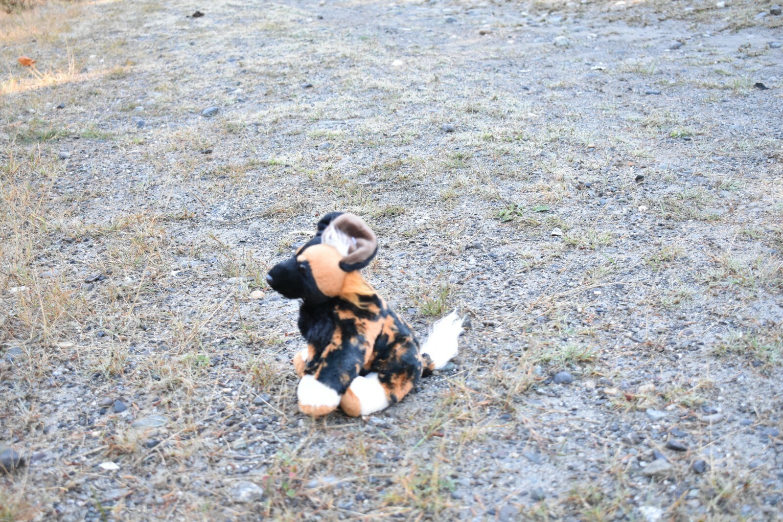 African Wild Dog, Soft Plush Stuffed Animal, Realistic Figure 9″ F899