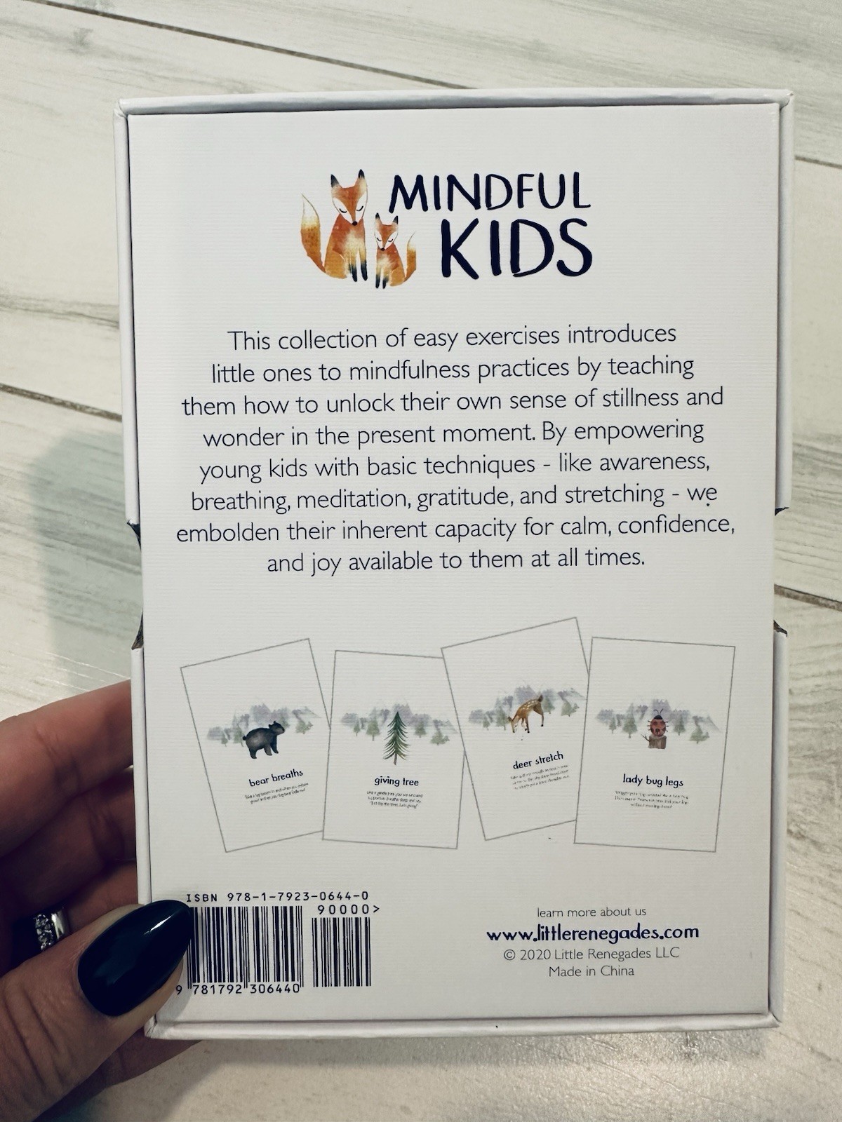 Little Renegades – Mindful Kids Cards, Easy Mindfulness Exercises for Children
