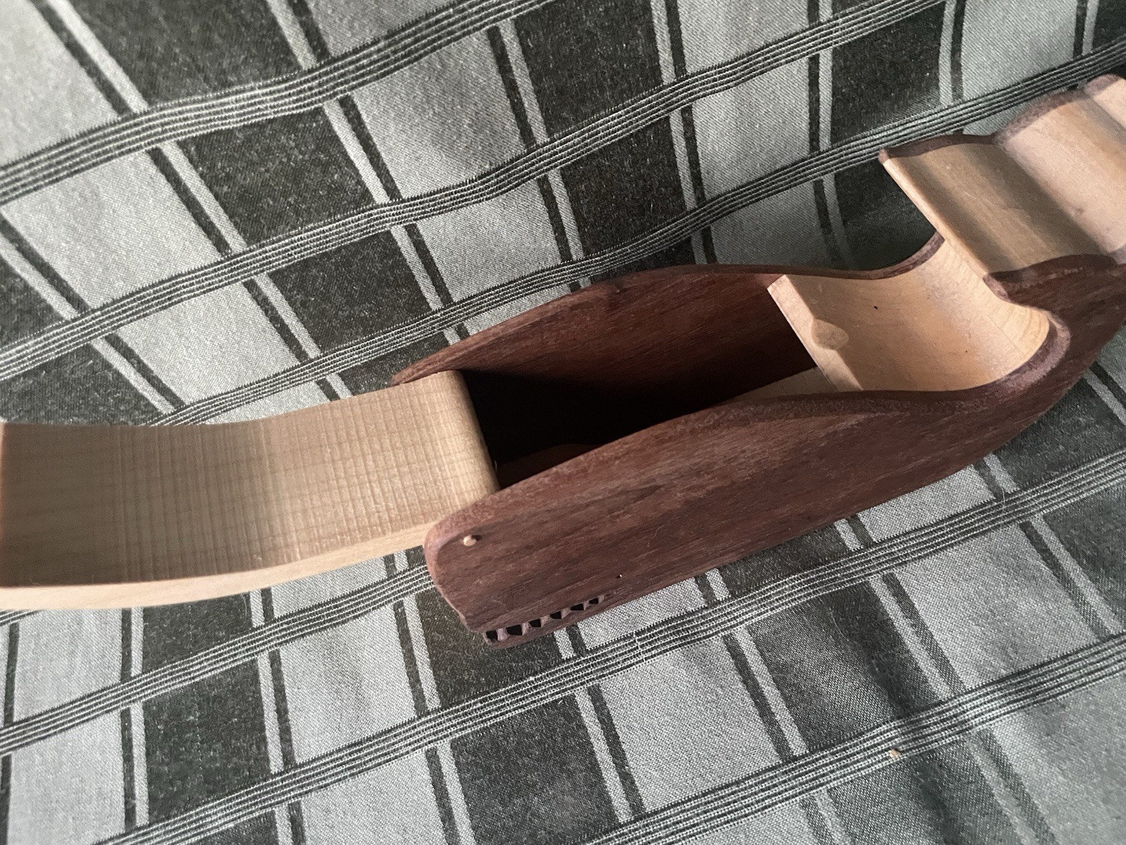 Wooden Whale 🐋 Wild Apples Box Handcrafted Gunther Keil ✨