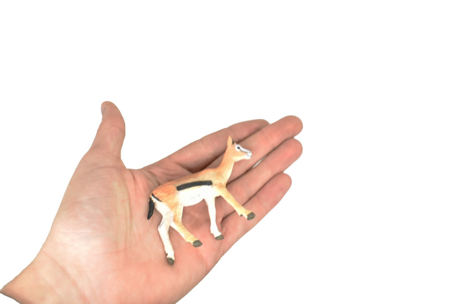 Gazelle, Thomson’s, Plastic Toy Animal, Kids Gift, Realistic Figure, 2″ M100
