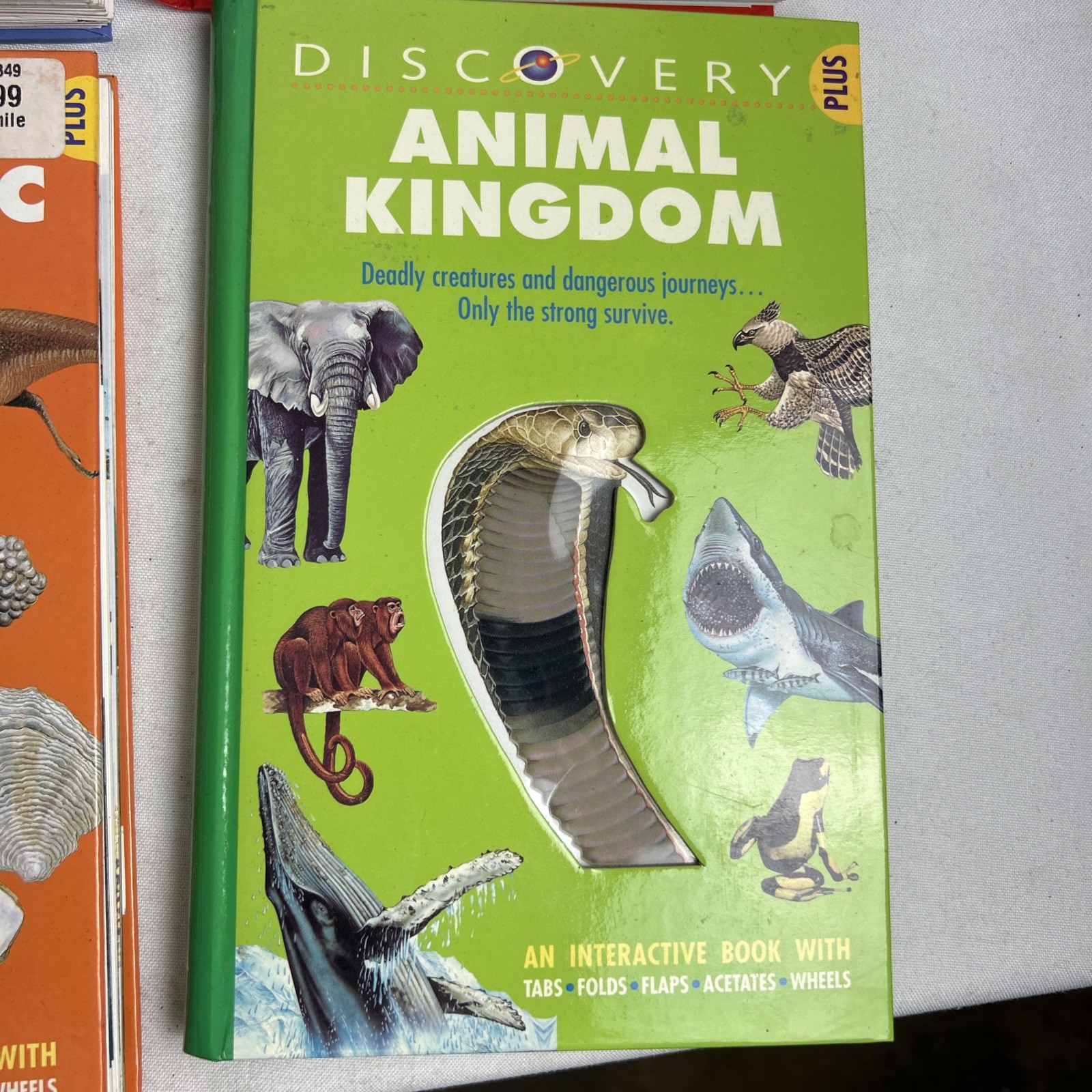 Lot Of (5) Discovery Plus Books INTERACTIVE/Fold Outs / Tabs/ Wheels / Acetate