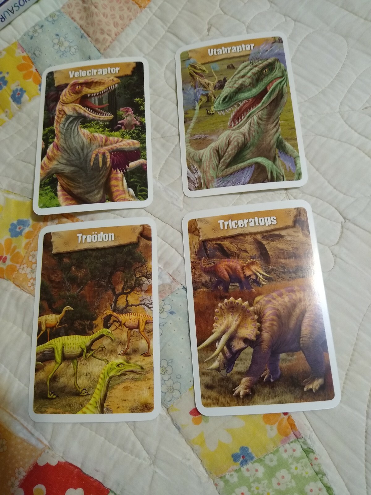 DINOSAURS 🦖 Educational Flash Cards Set of 36 Bendon NEW! Free shipping!