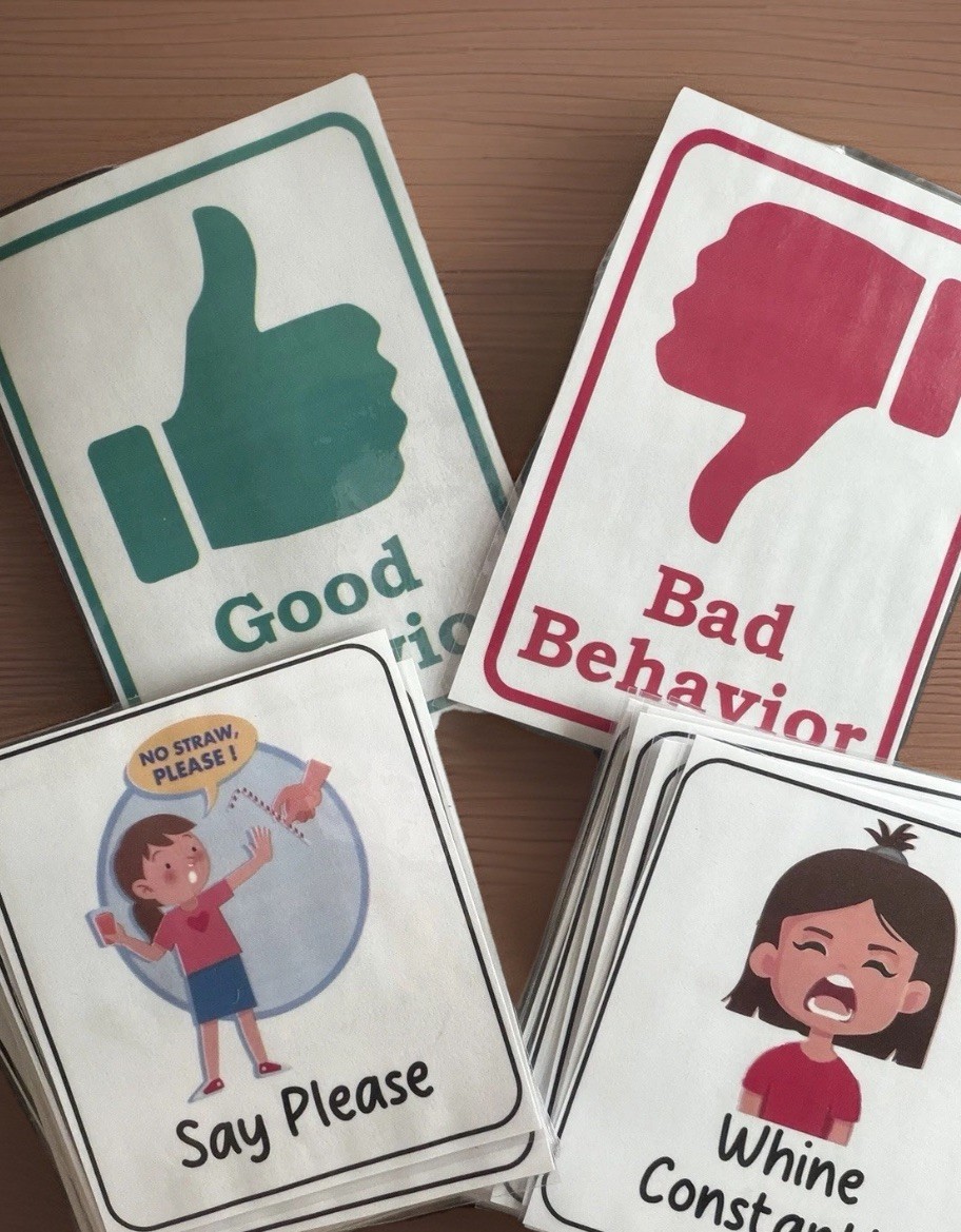 Good Choice/Bad Choice Flash Cards Social Story Behavior Cards/Montessori