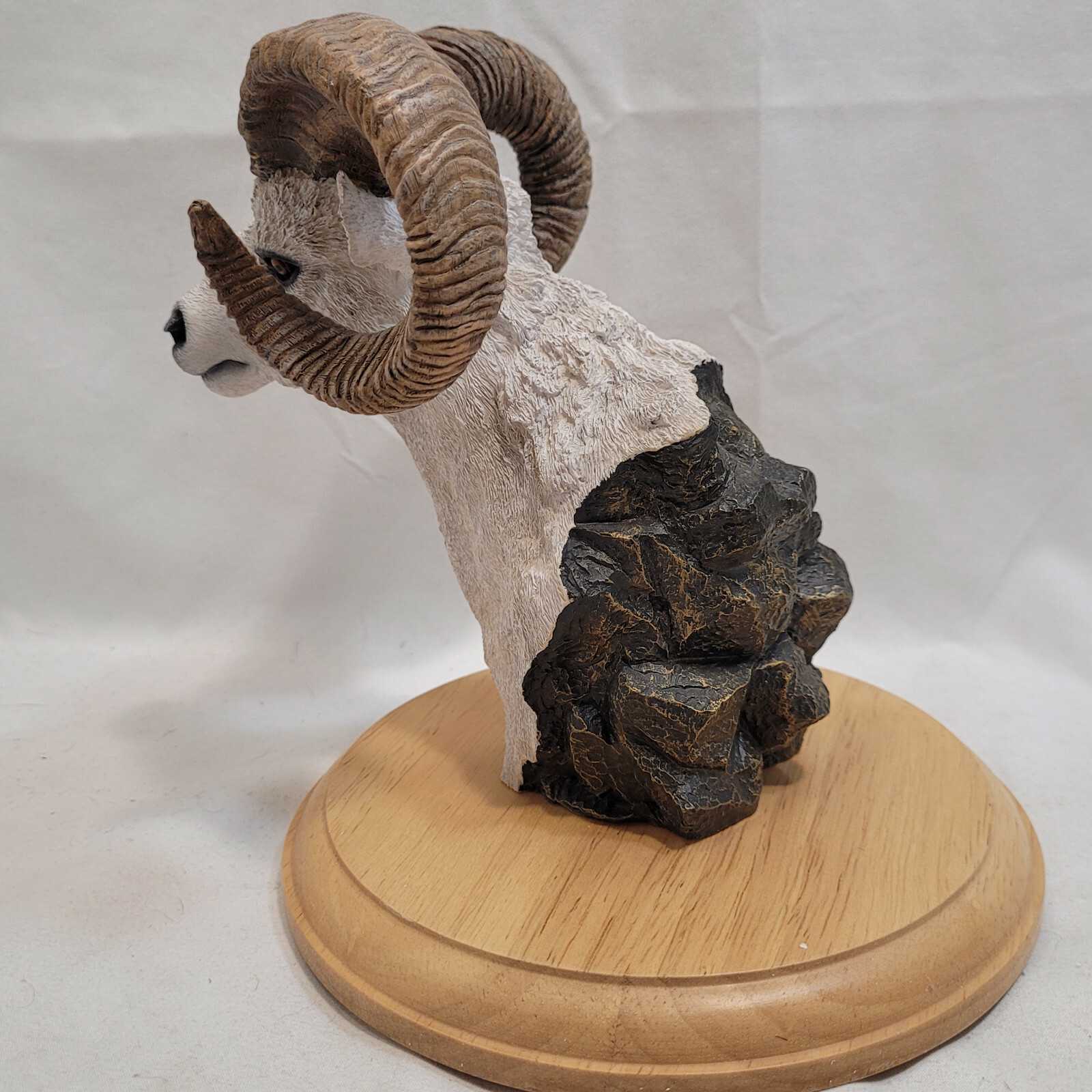Simpkins Animal Dall Sheep / Ram Bust # 51476RB Wood Base 7″ Tall