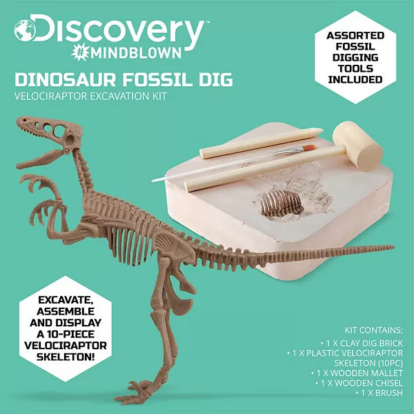 Velociraptor Dinosaur Fossil Excavation Dig Kit Discovery Mindblown STEM Toy