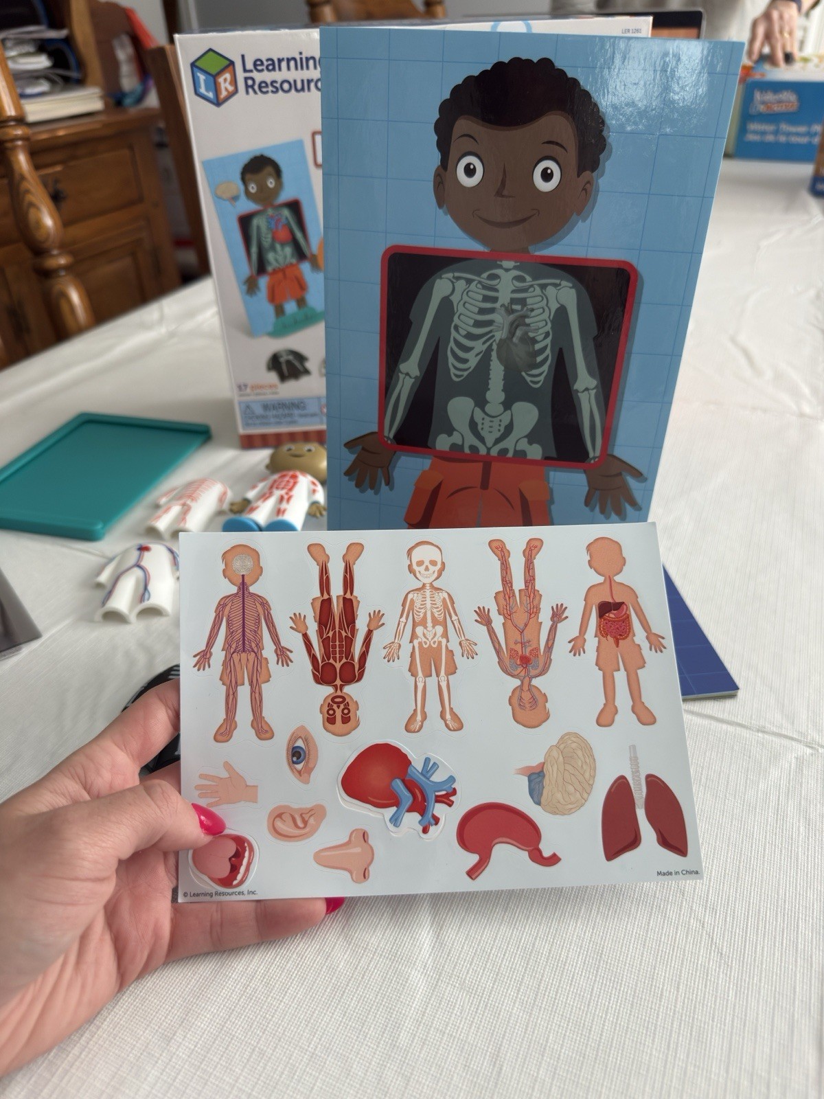 Learning Resource Skill Builder Human Body Activity Set