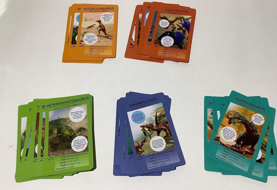 Set of 50 Dinosaur Information Travel Cards