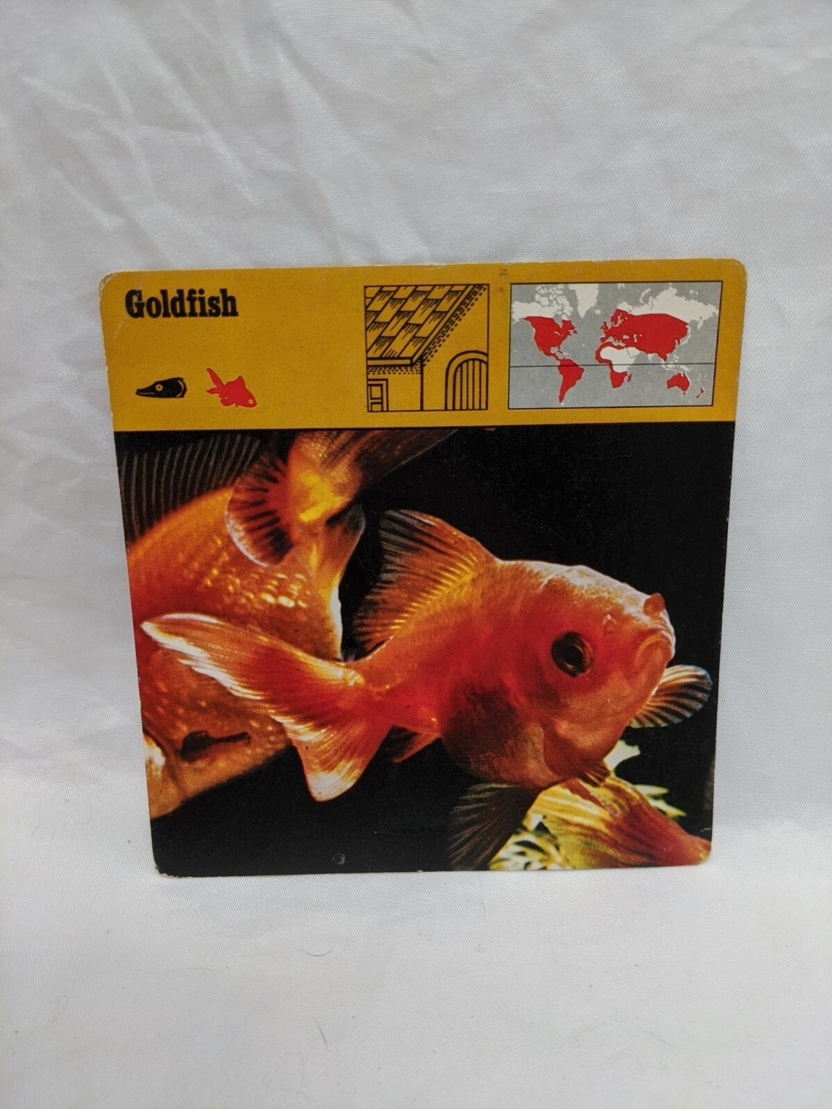 Lot Of (10) 1975 Rencontre Bony Fishes 1 Education Cards