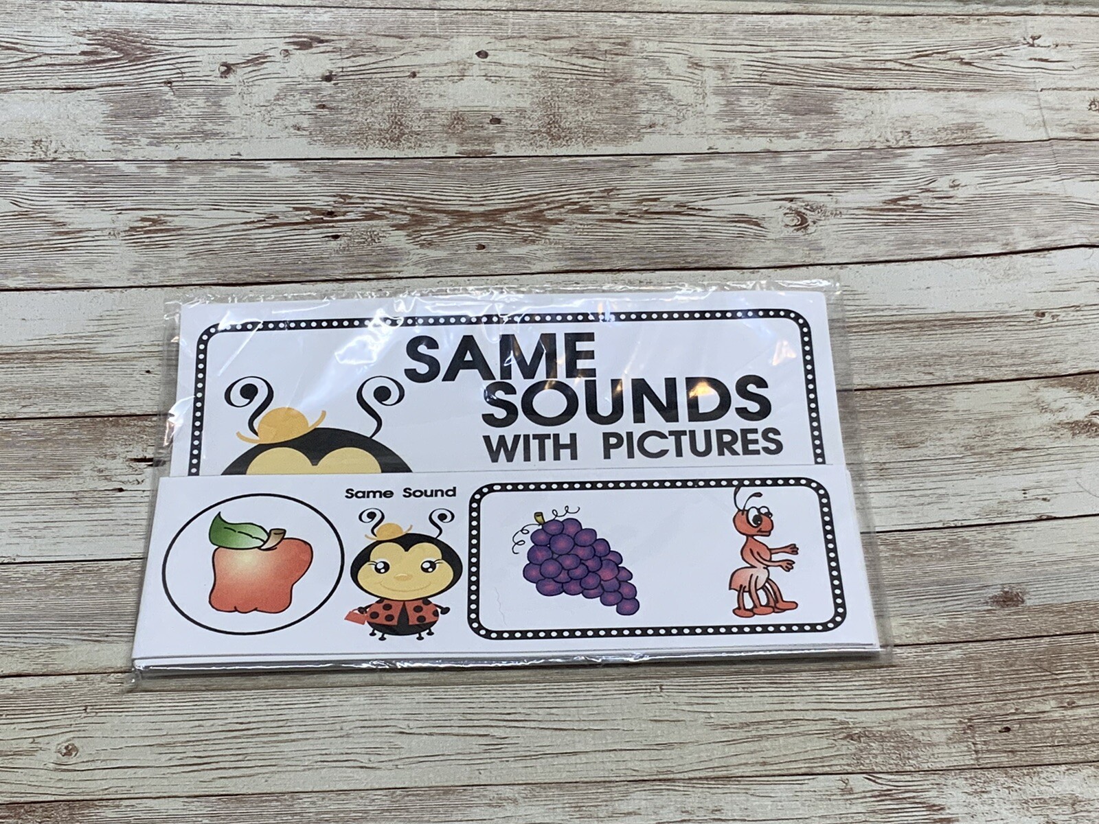Lady Bug – Themed Learning Centers – Laminated – Same Sound With Pictures