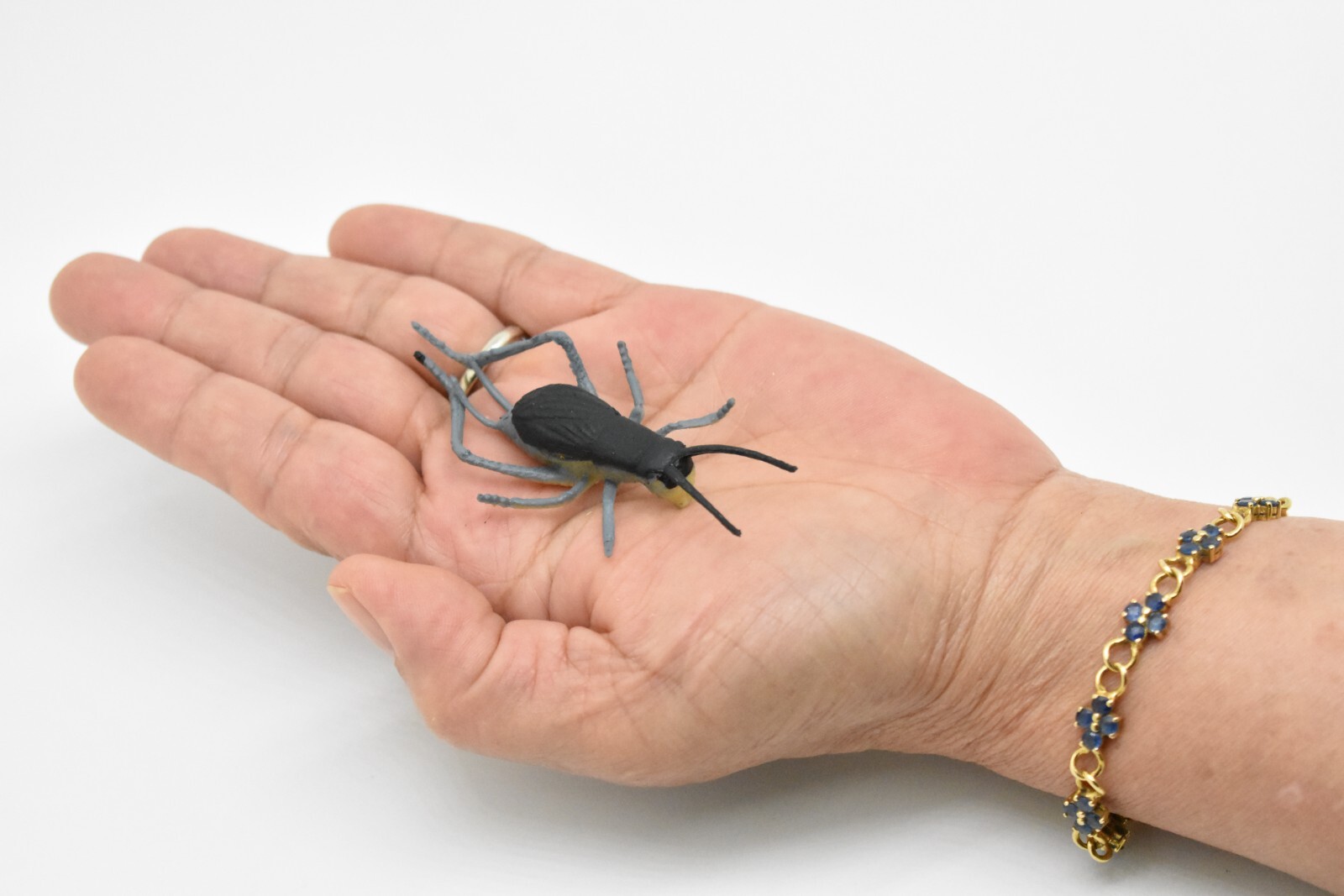 Cricket, Rubber Toy Animal, Realistic Figure, Model, Replica, Kids Gift 3″ F1058