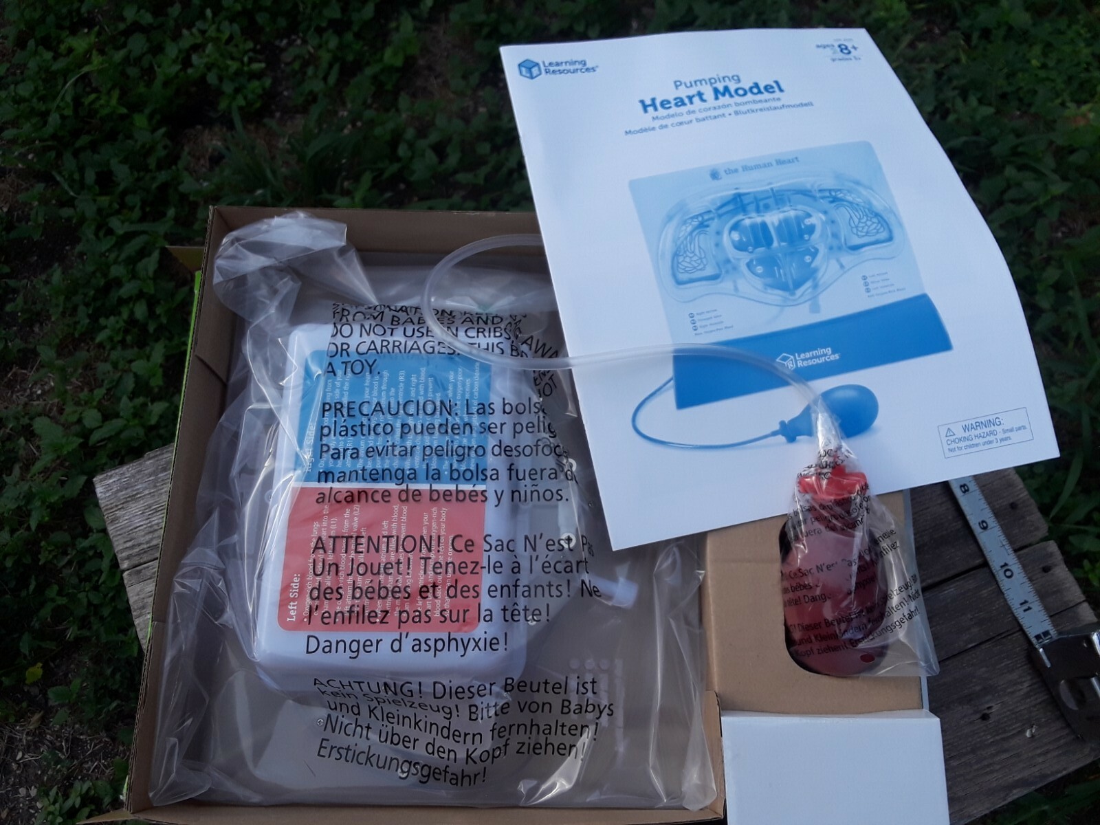 Learning Resources Pumping Heart Model