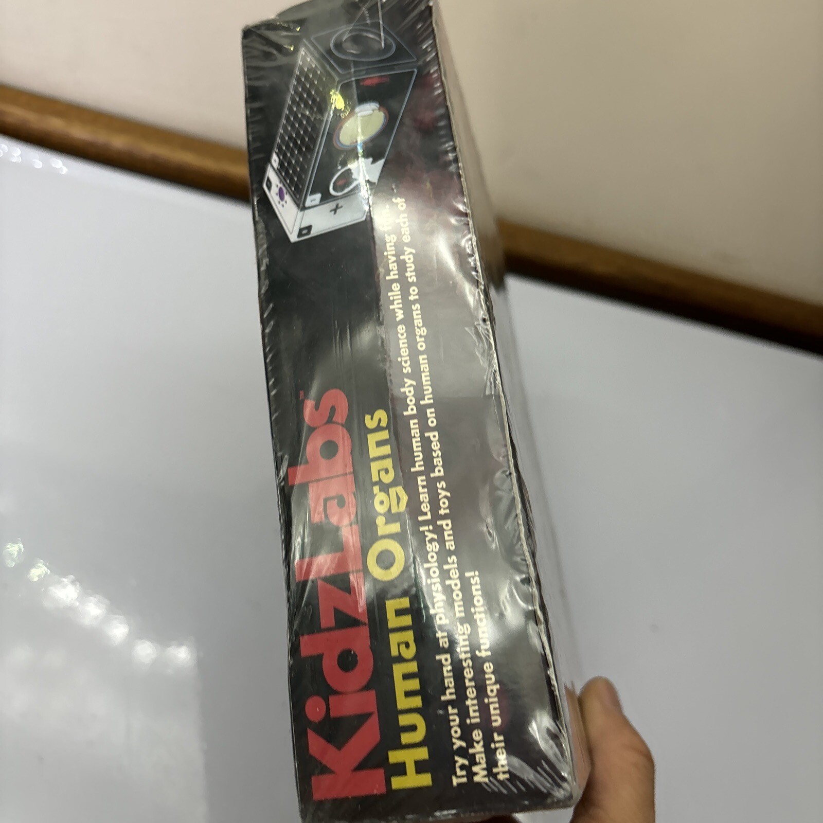 KidzLabs – Human Organs Models *New Sealed*