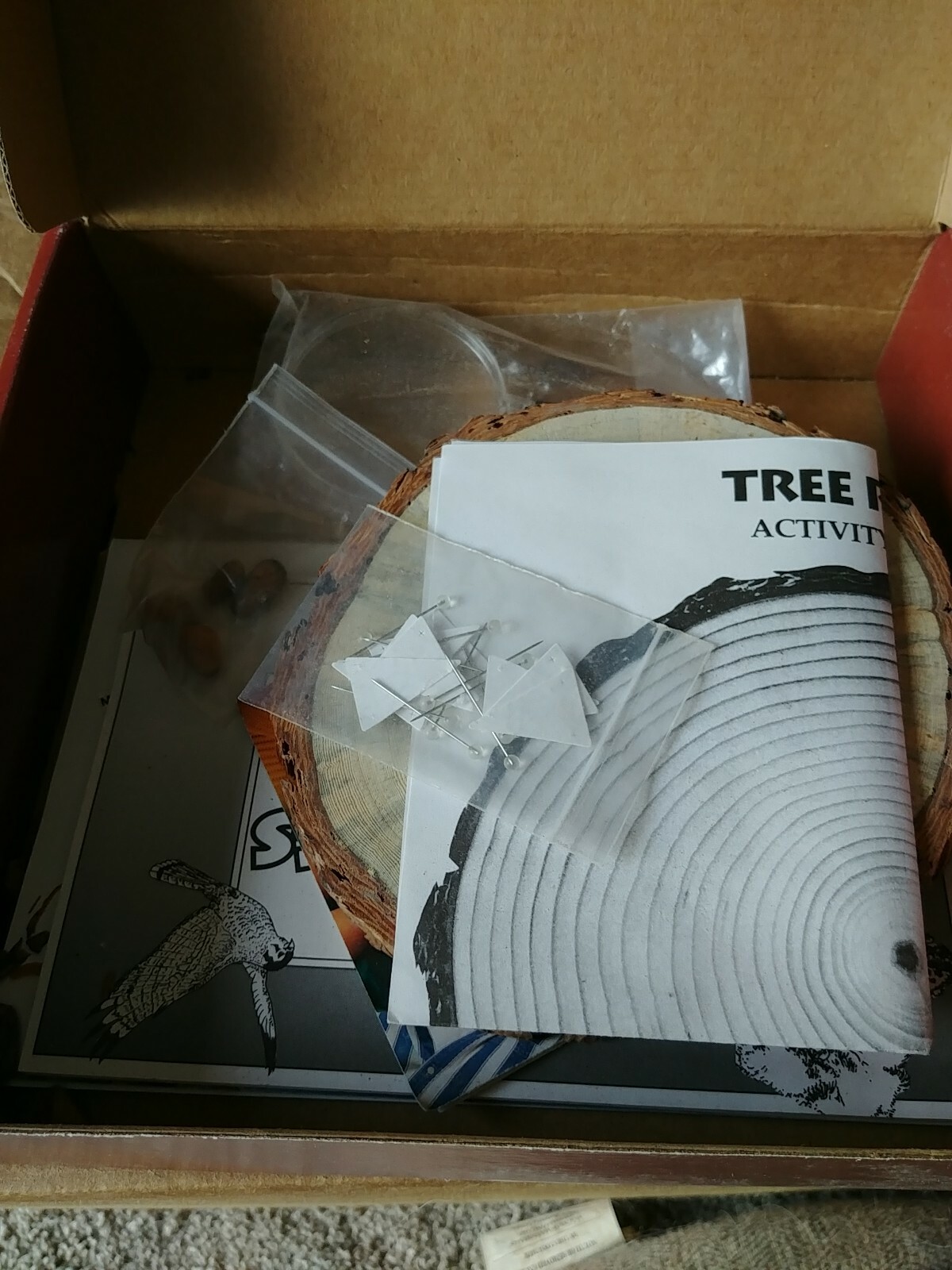 Hands-on Nature Kit – Tree Rings (Ages 9 and up)