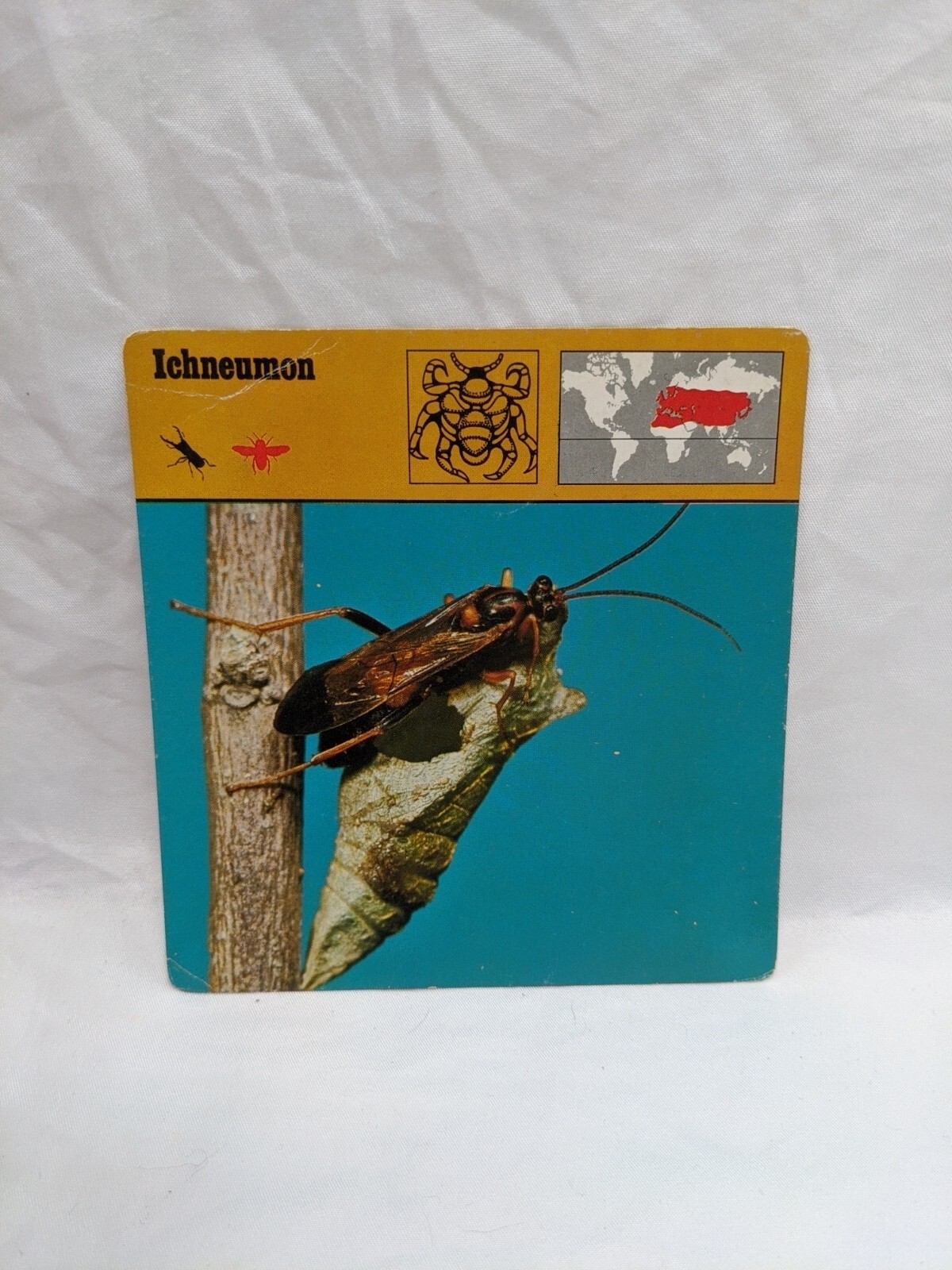 Lot Of (21) 1975 Rencontre Arthropods IV Education Cards