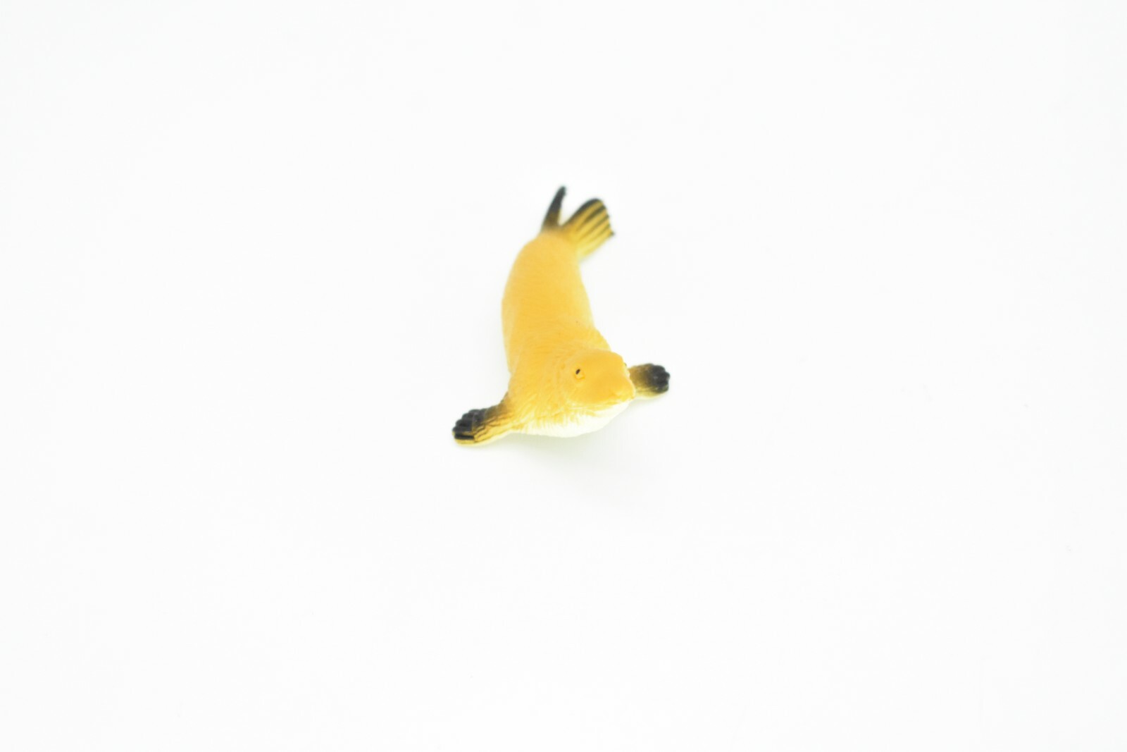 Sea Lion, Female, Very Nice Plastic Replica 2 1/2″ F593 B35