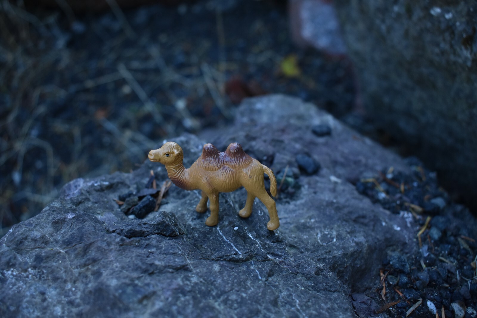 Camel, Bactrian, Plastic Toy Animal, Kids Gift, Realistic Figure, 2.75″ F3548