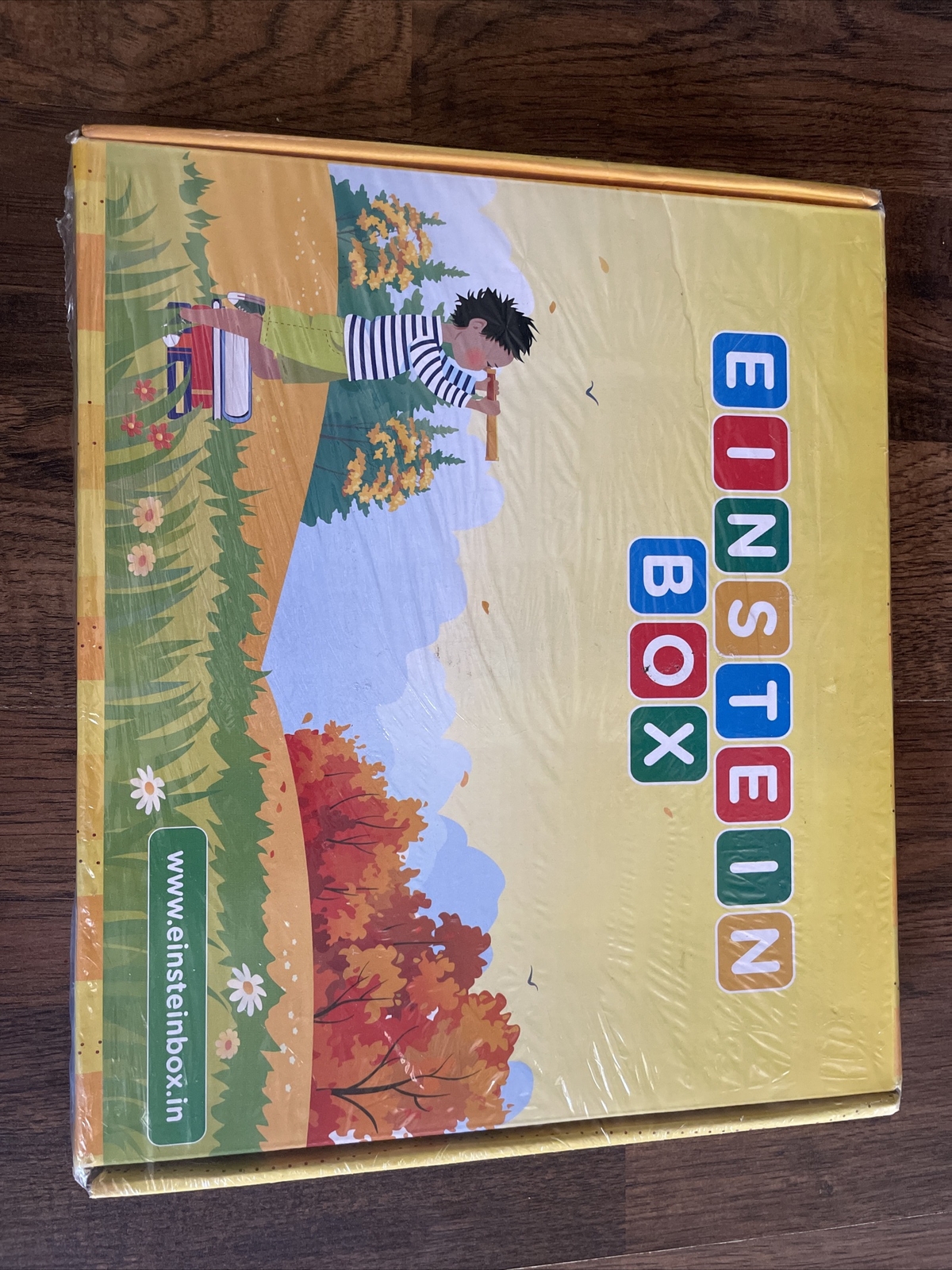 NEW Einstein Box Learning and Educational Toys & Games For 1 Year Old Boys/Girls