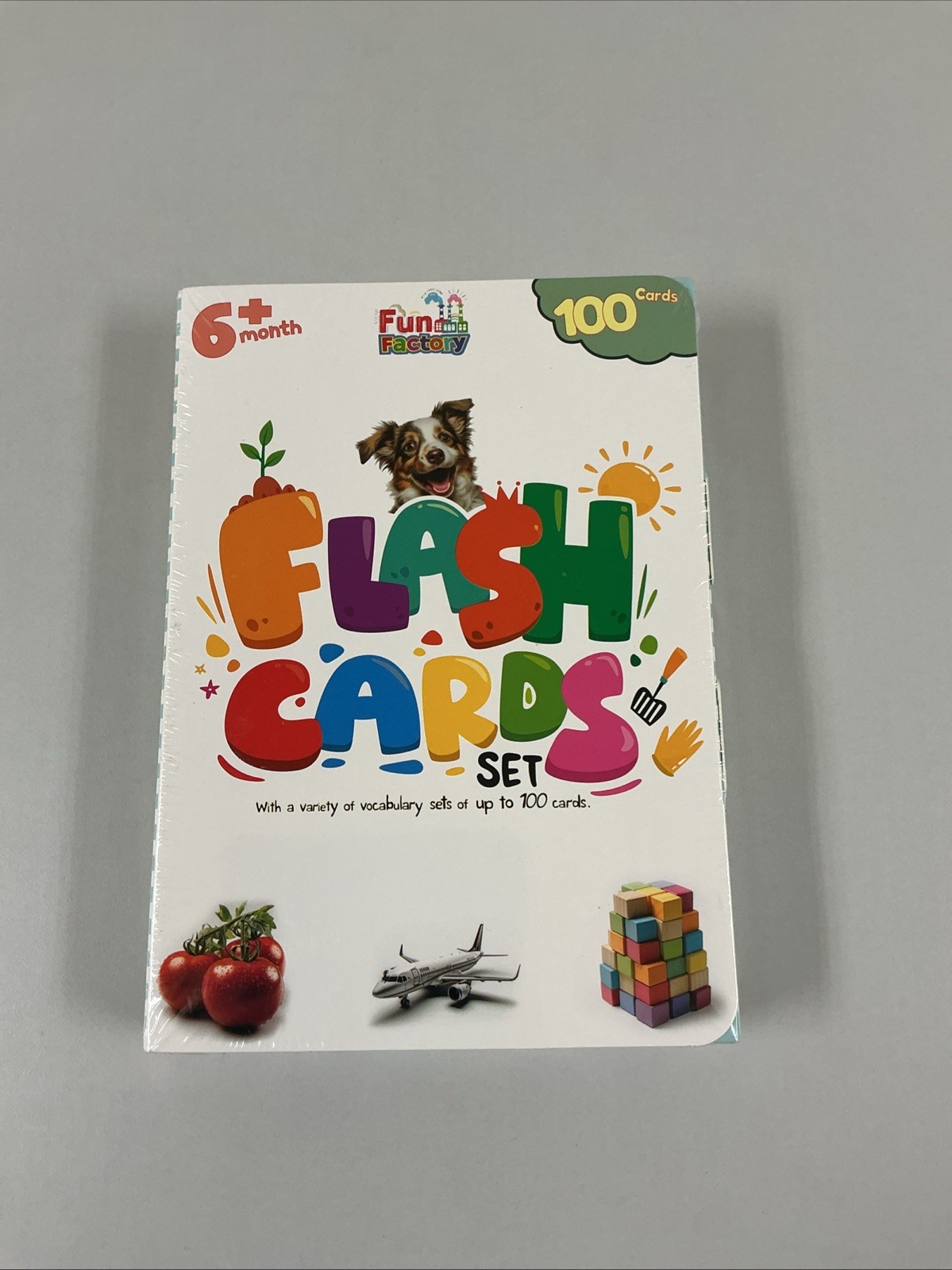 NEW Educational Flash Cards Set For Kids Ages 6mo+ 100 cards Included