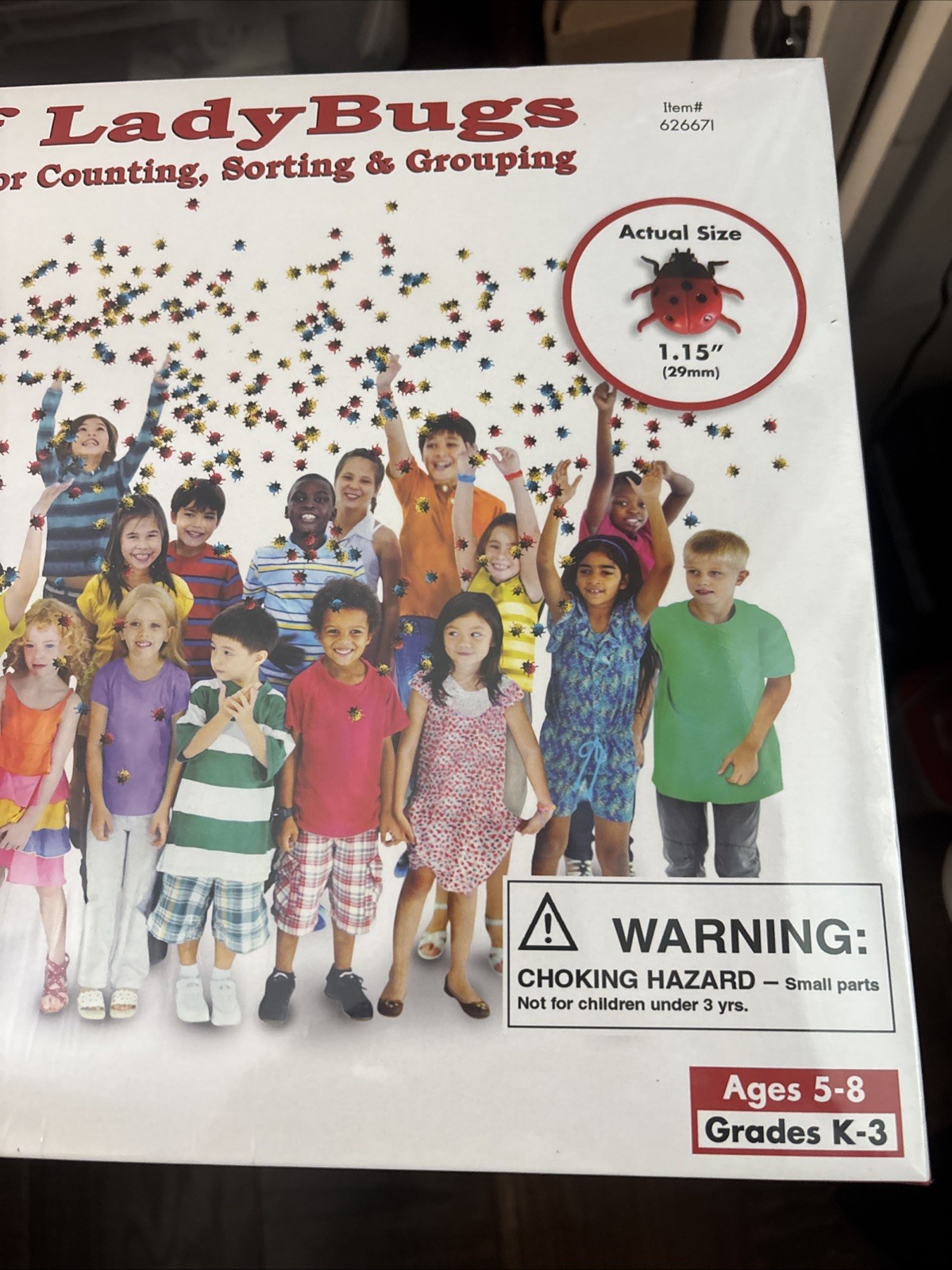 Essential Learning Products Oodles Of Ladybugs 300 Pieces (New In Plastic)