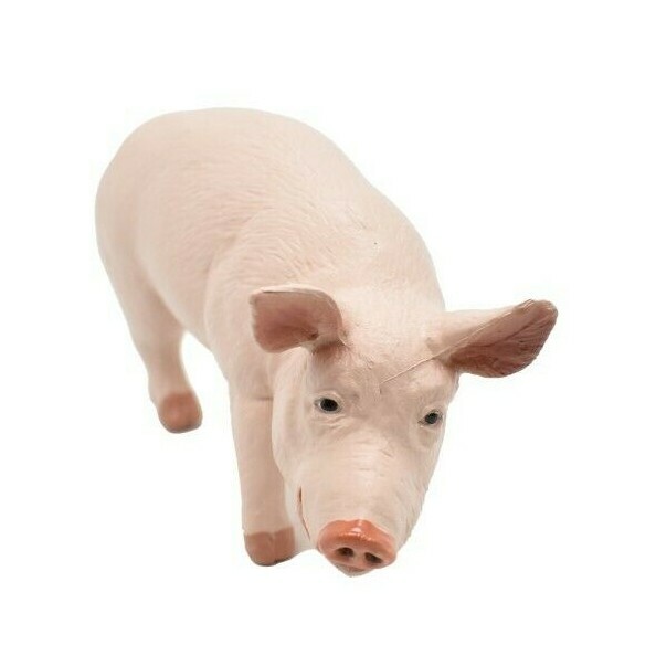 PIG / Boar Domestic Plastic Replica 4 1/2 -inch replica – F2024 B143