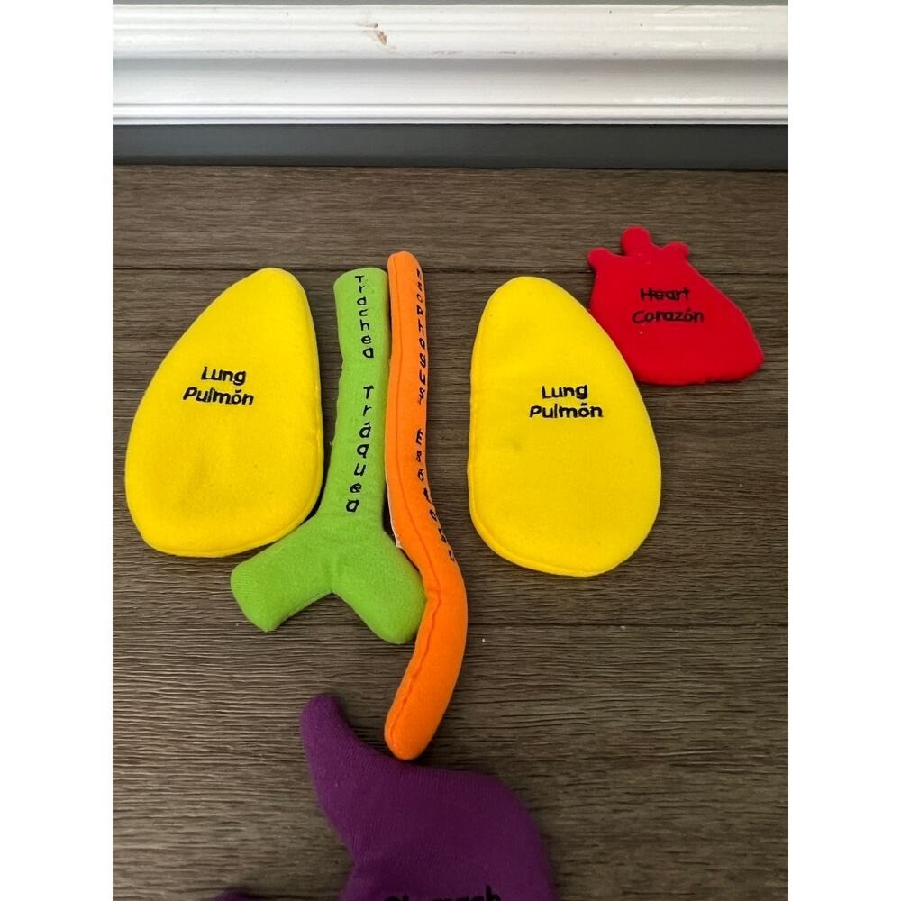 Excellerations Organ Replacement Parts for Learning Apron
