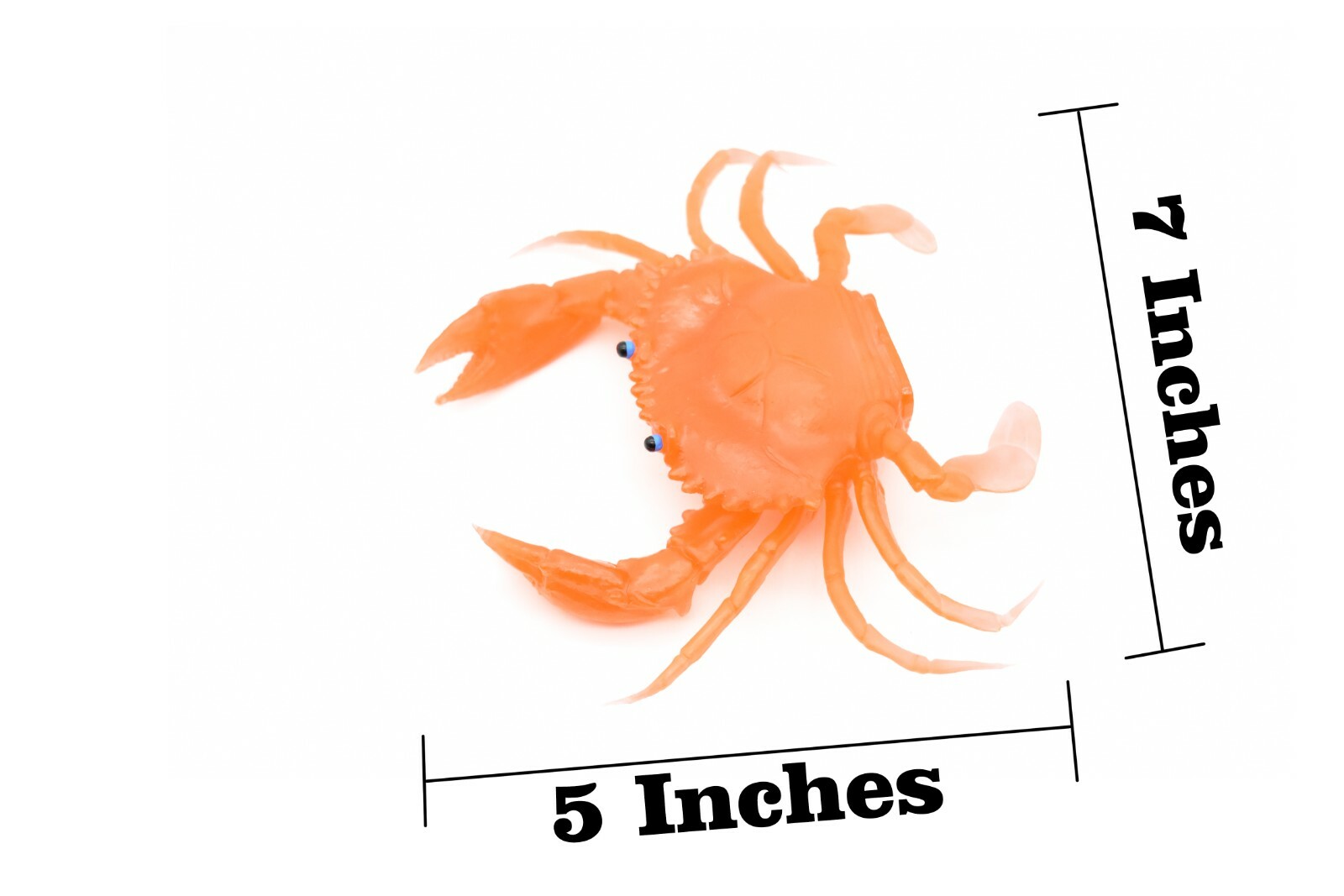 Orange Crab, With Squeak, Very Nice Rubber Replica 7″ F1764 B188