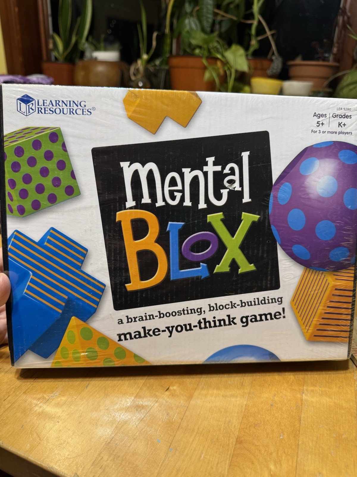 Learning Resources – Mental Blox – 3-D Puzzle Game – Sealed Box