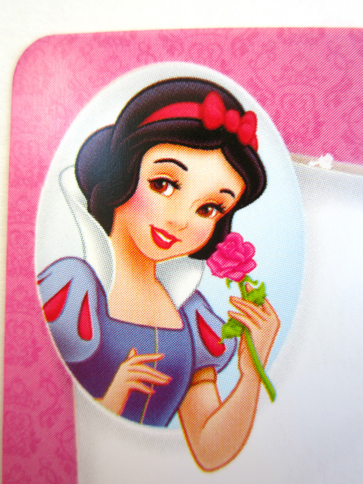DISNEY PRINCESS SUBTRACTION,ADDITION,MULTIPLICATION LEARNING CARD SETS NEW