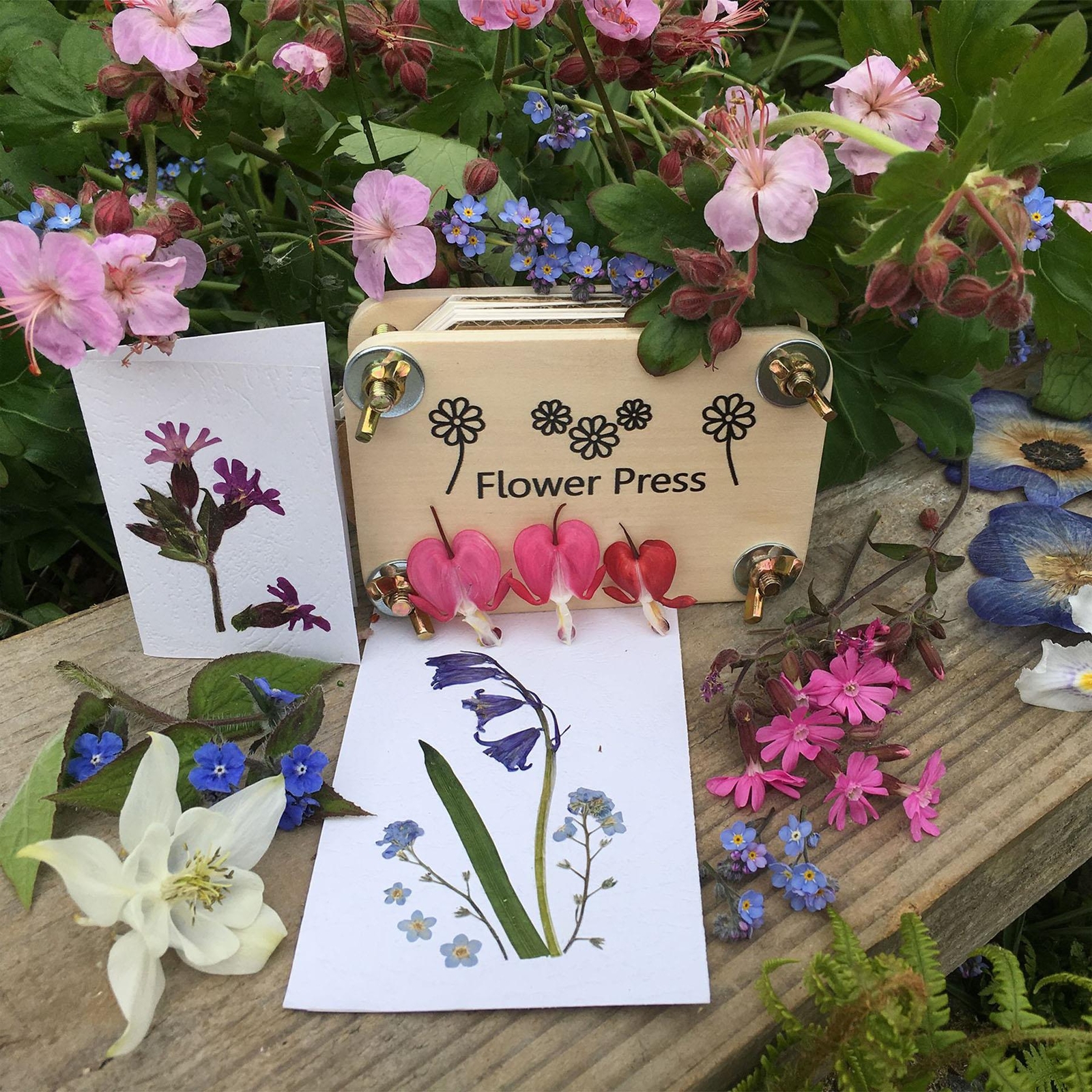 Gift in A Tin Craft / Activity Set Age 6 Flower Pressing Kit