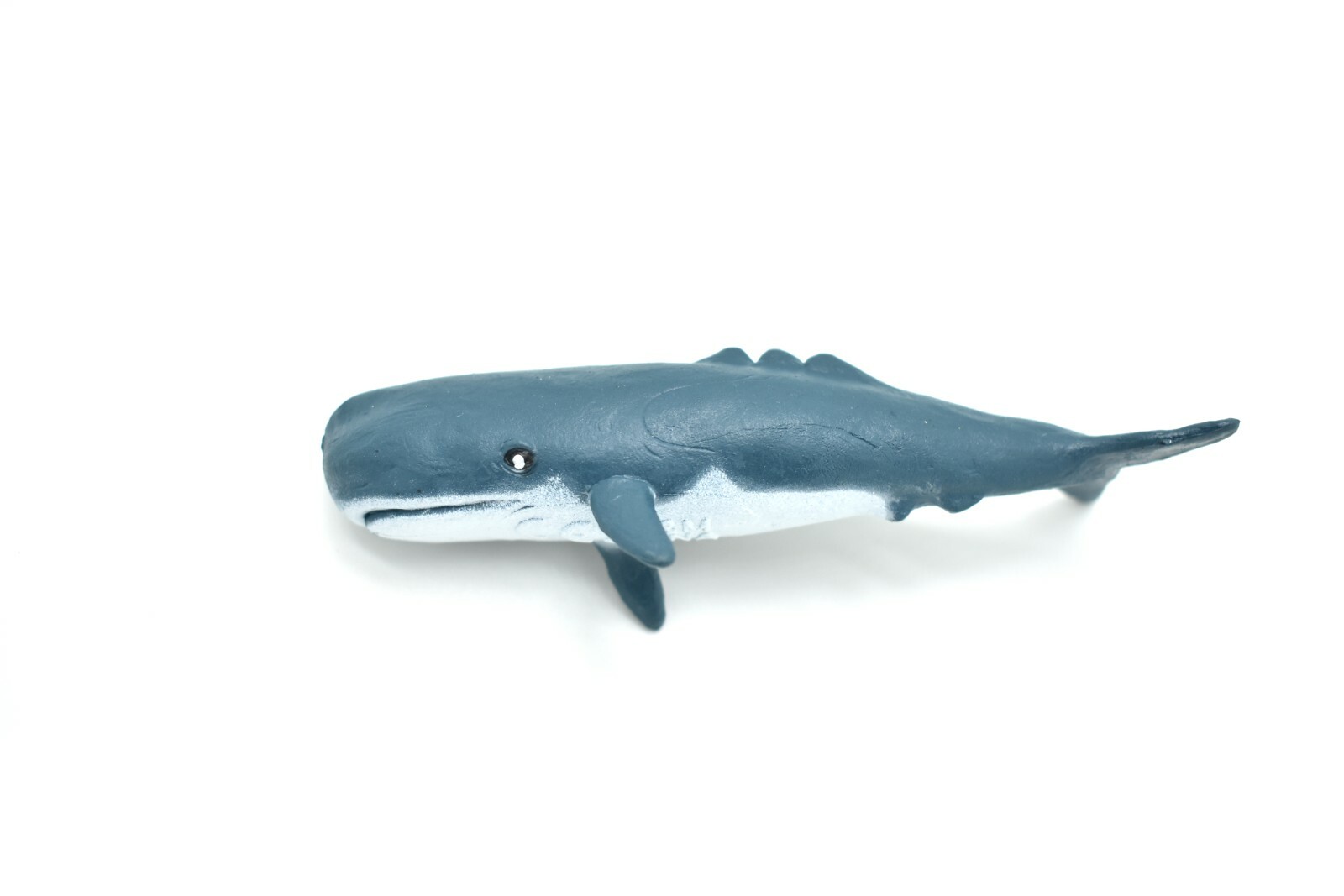 Sperm Whale Plastic Replica 3Long ~ F3909-B9