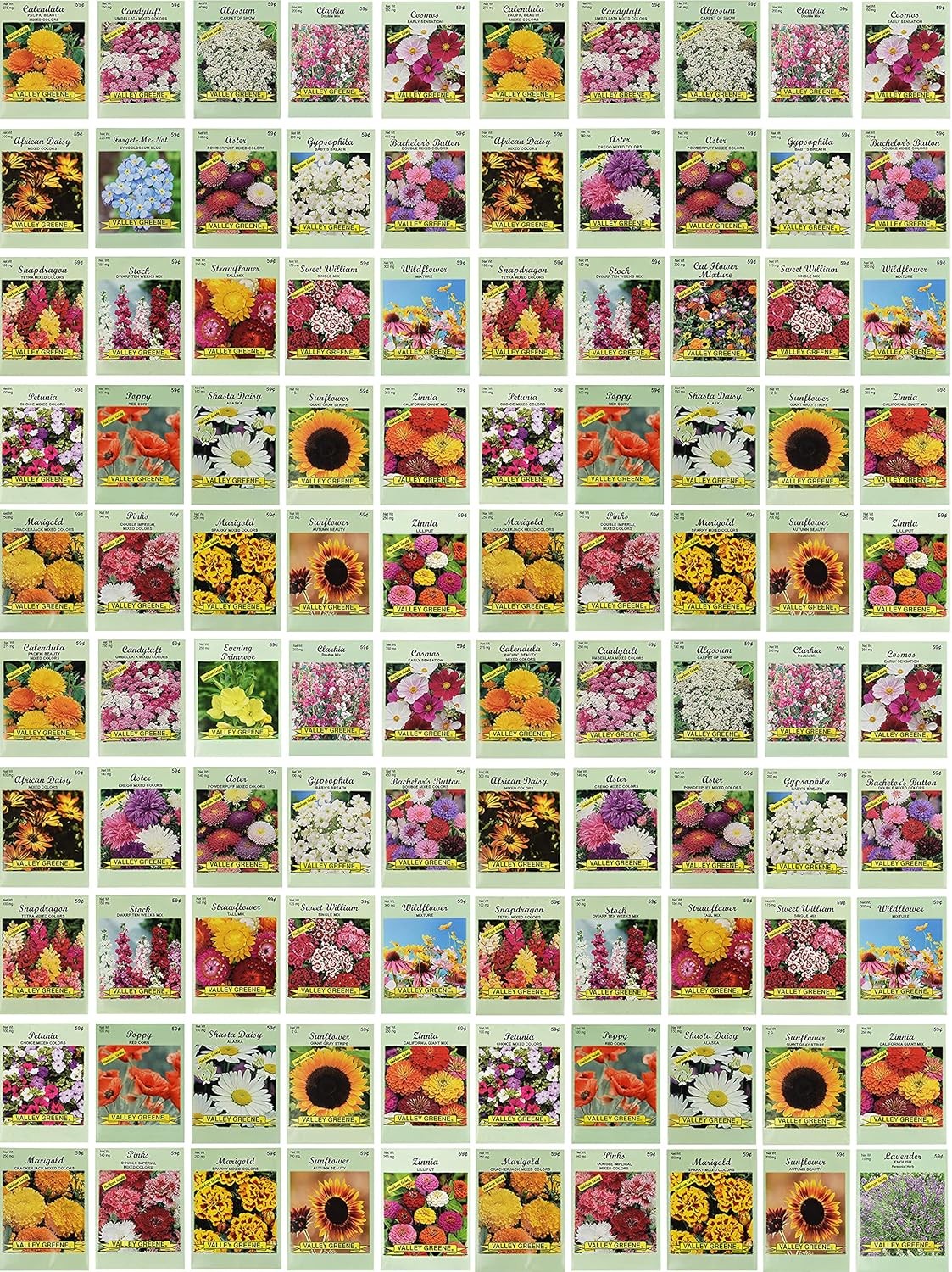 Set of 100 Assorted Valley Green Flower Seed Packets! Flower Seeds in Bulk – 20+