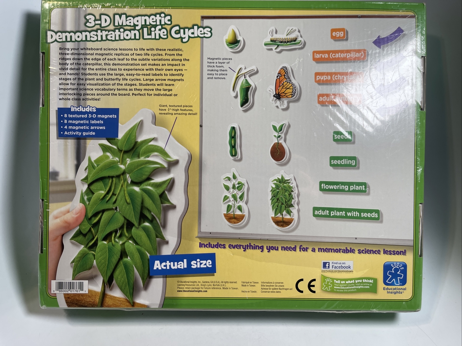 Educational Insights 3-D Magnetic Demonstration Butterfly Life Cycle Grades K+