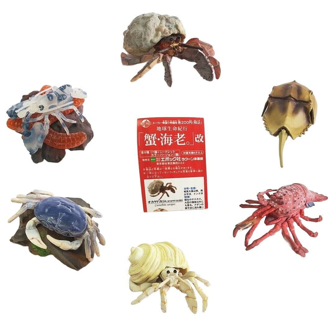 Marine Life Sea Ocean Shell Creatures Educational Figure Toys