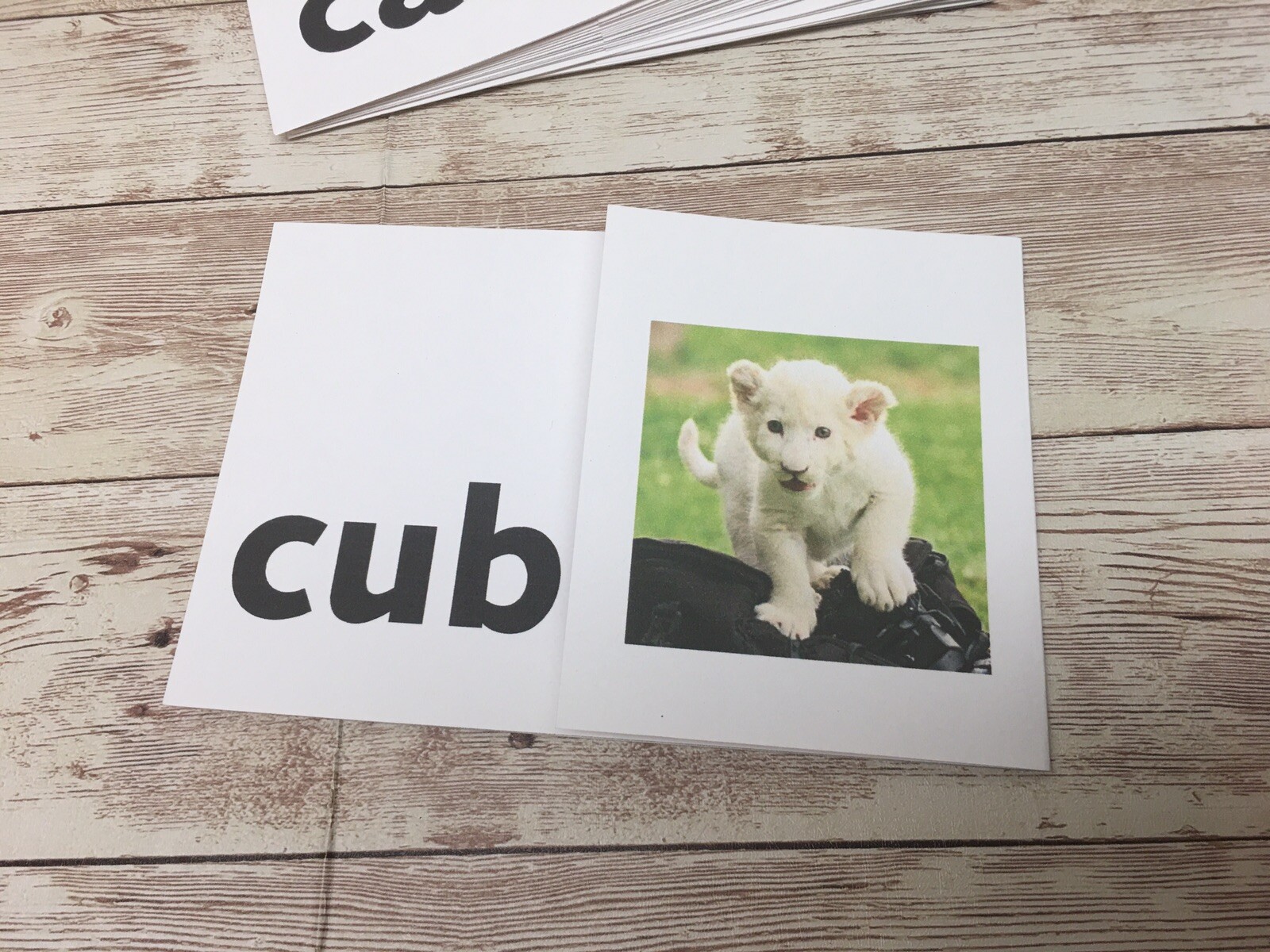 Reading Manipulative – Silent E words Picture Flip cards – Home Or School