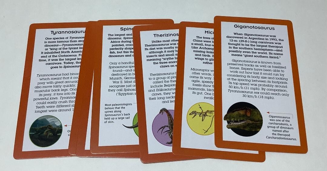 Set of 50 Dinosaur Information Travel Cards