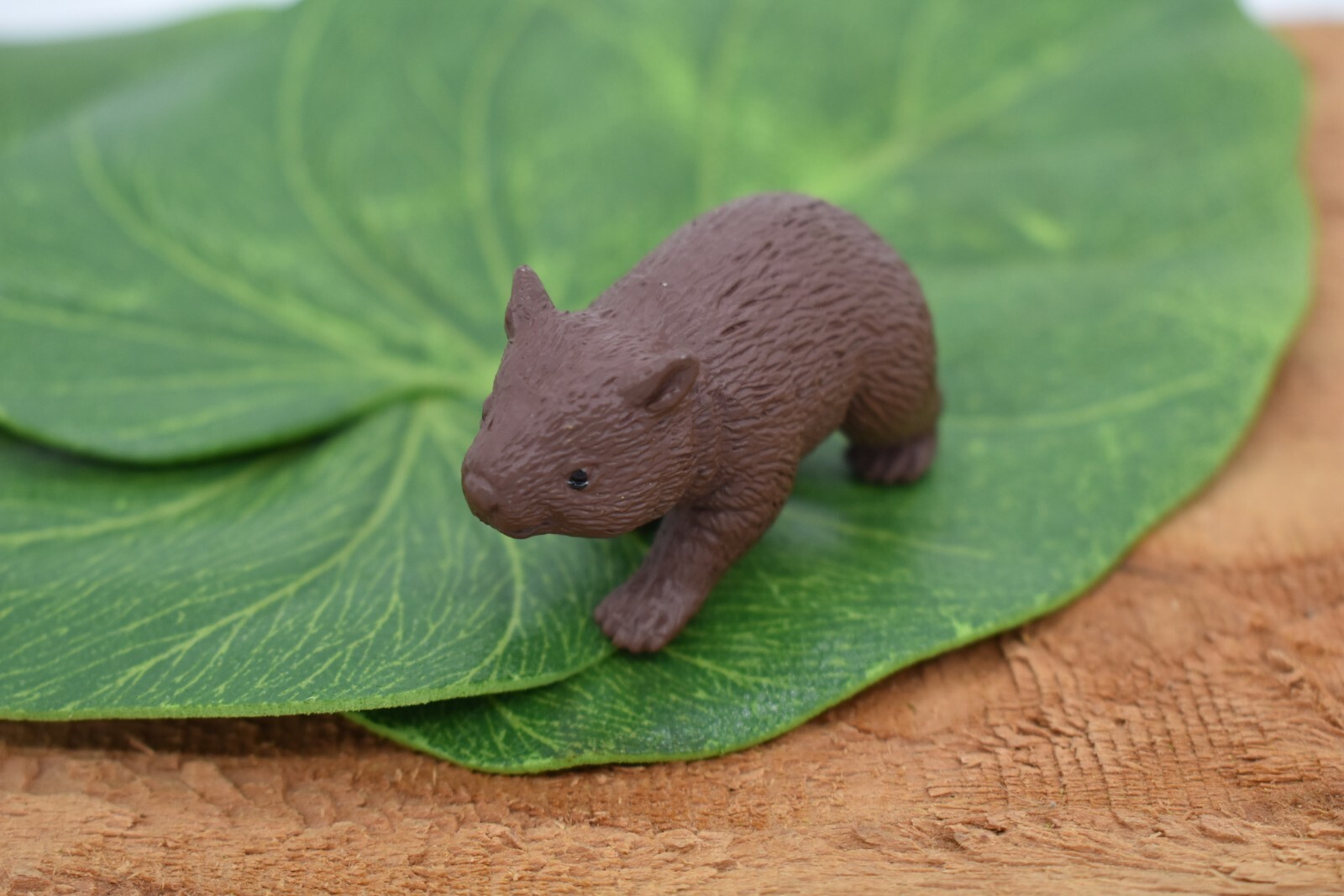 Wombat, Plastic Replica 1 3/4-inch – F1762 B42