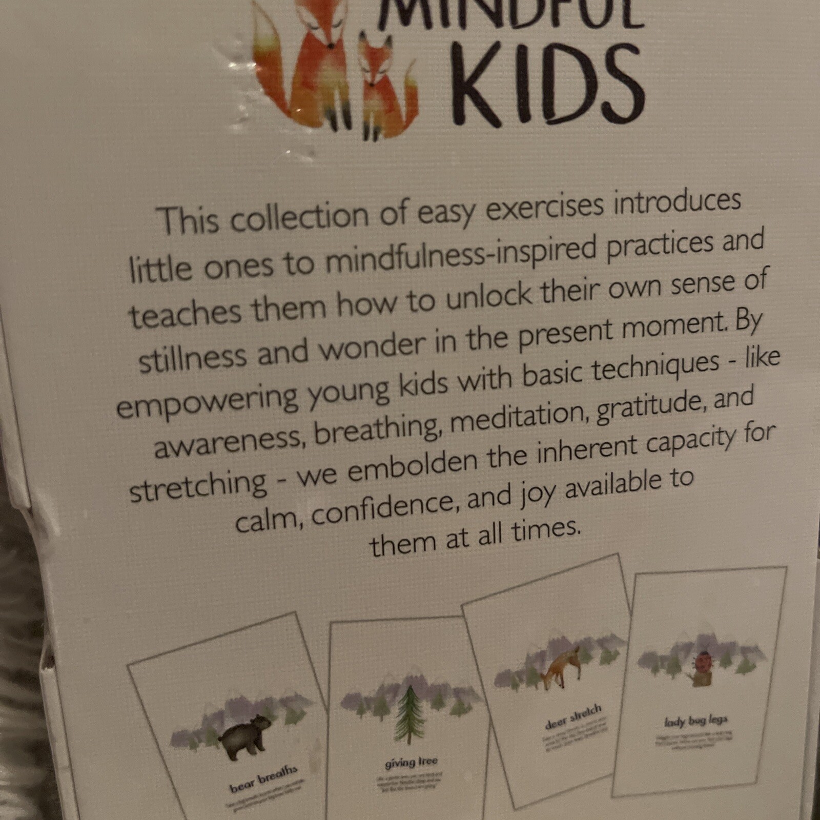 NEW Little Renegades Mindful Kids Cards: Everyday Exercises for Confidence & Joy