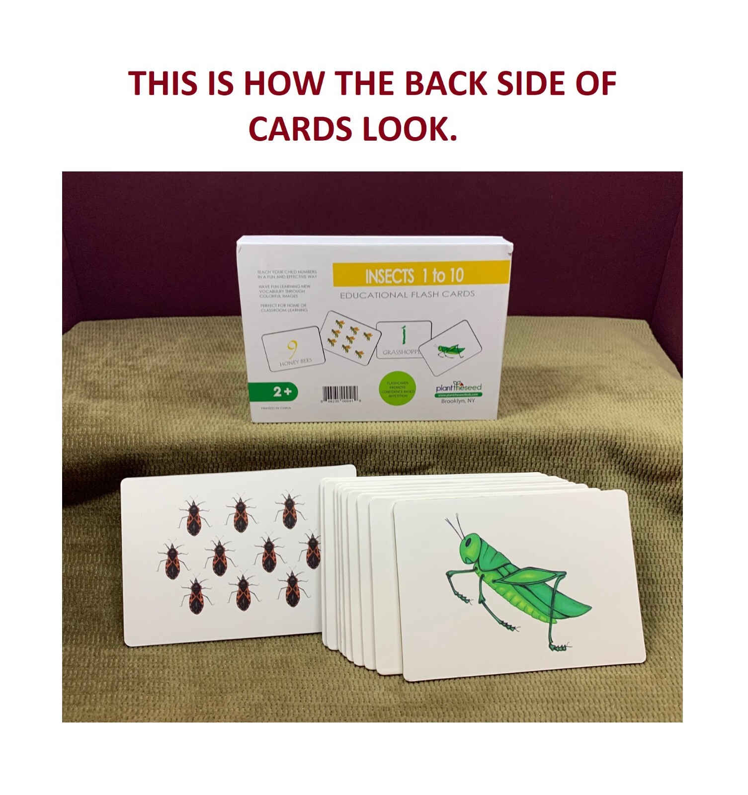 THICK EDUCATIONAL FLASH CARDS COUNTING 1 – 10 & LEARNING INSECTS AS YOU GO ALONG