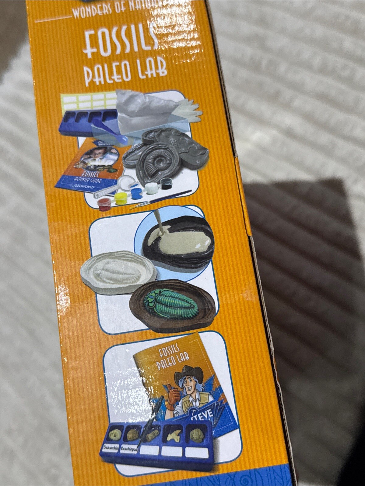 Dr. Steve Hunters Fossils Paleo Lab Kit 5 Authentic Fossils Brand New