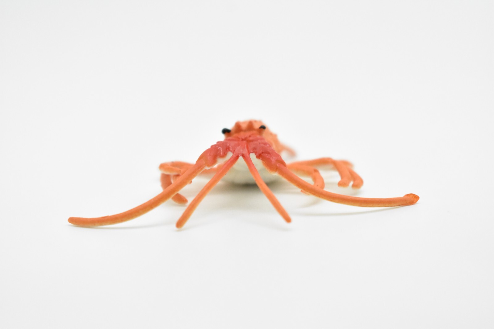 Lobster Toy, California spiny lobster, Realistic Plastic Replica 3″ CWG275 B46