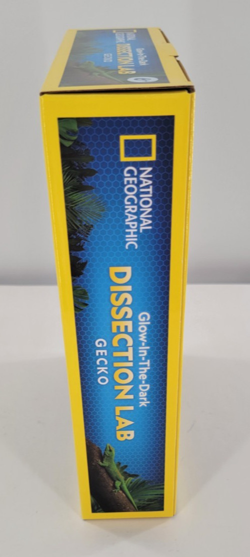 Blue Marble National Geographic Glow-in-the-Dark Gecko Dissection Lab
