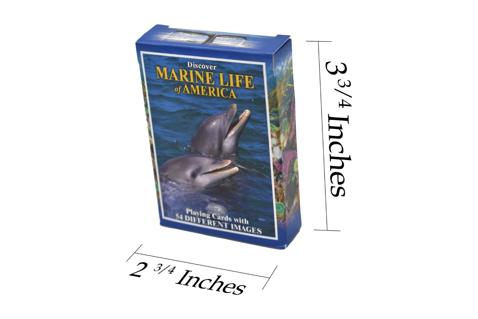 Marine Life of America, New Deck of Animal Themed Playing Cards 3 1/2″ SSA121