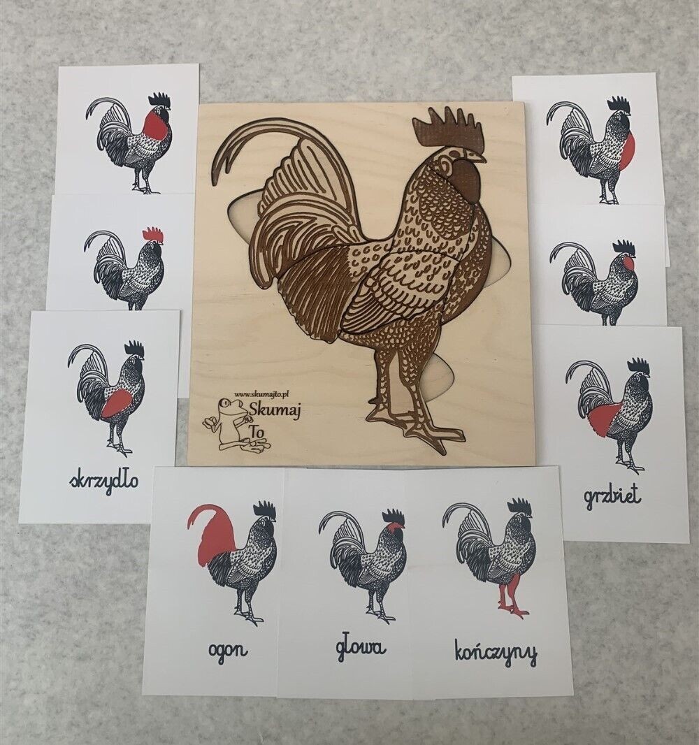 Lot of 2 Skumaj To Polish Animal Anatomy Educational Puzzles: Chicken & Rabbit