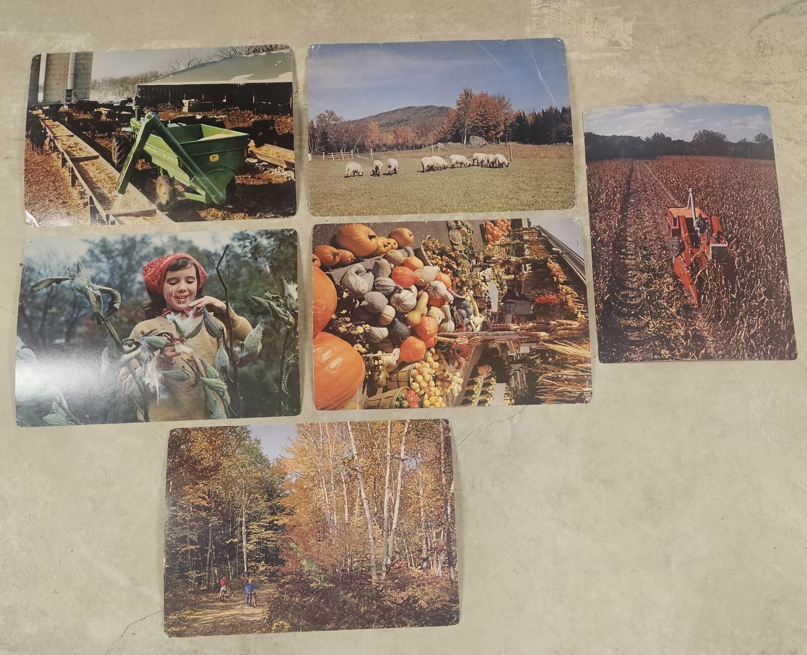 28 1960’s Educational Aids 18″x13″ Cards Erosion Fruit Farming Weather Butterfly